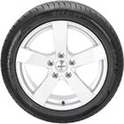 Wanli SA302 255/50 ZR19 107W XL