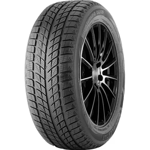 Doublestar DW09 275/40 R20 106V XL