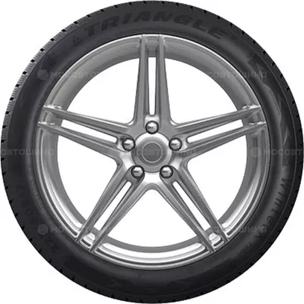 Triangle TW401 WinterX 245/45 R19 102V XL