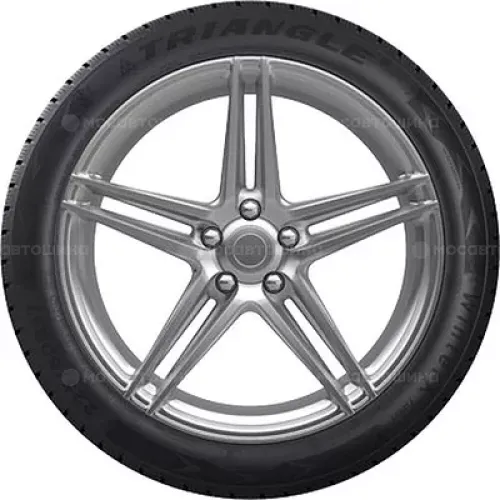 Triangle TW401 WinterX 245/45 R19 102V XL
