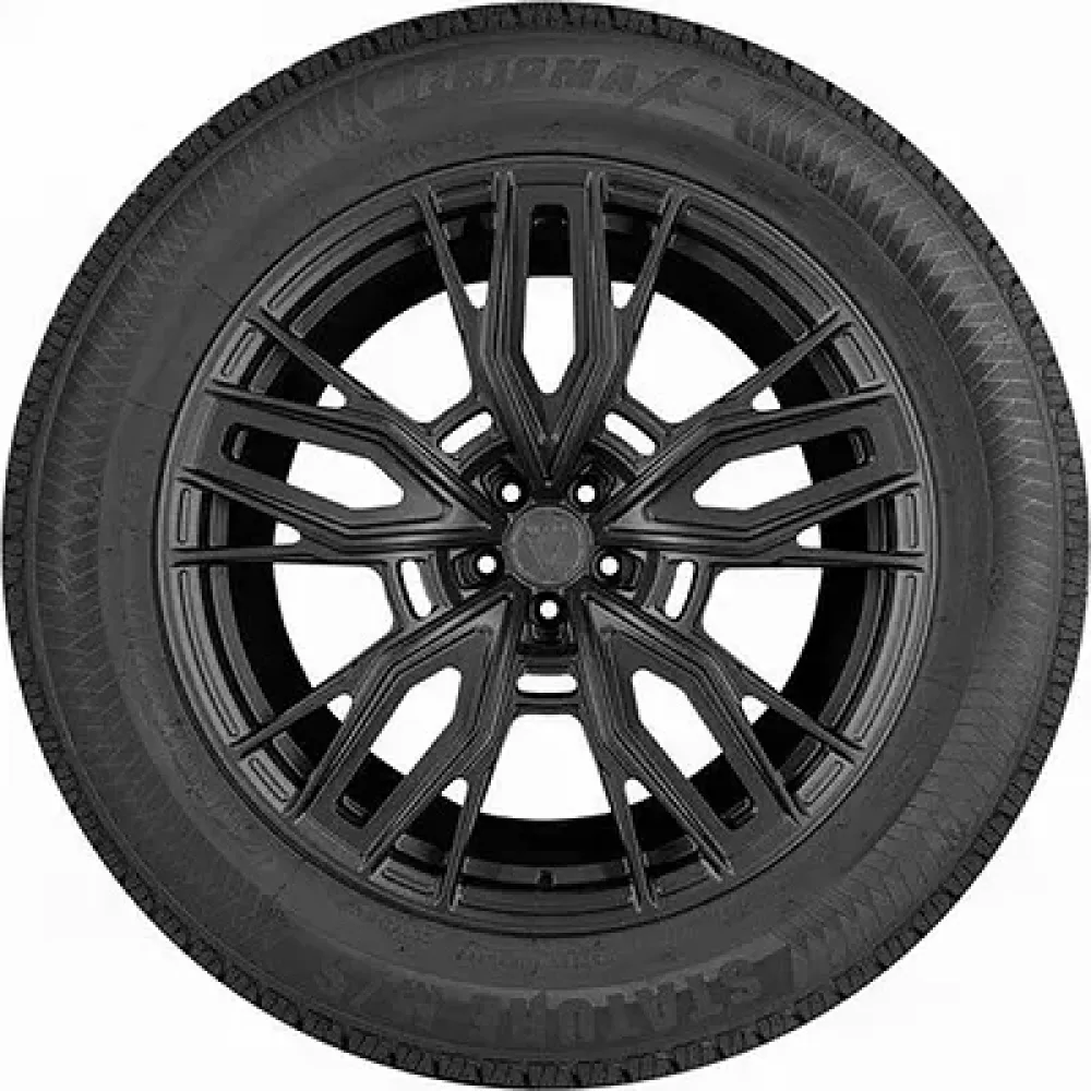 Gripmax Stature M/S 275/40 R20 106V XL