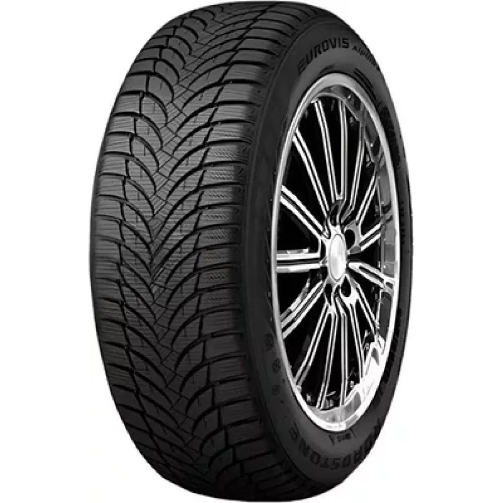 Roadstone Eurovis Alpine 2 225/70 R16 103H