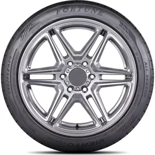 Fortune FSR-702 245/35 R20 95Y XL