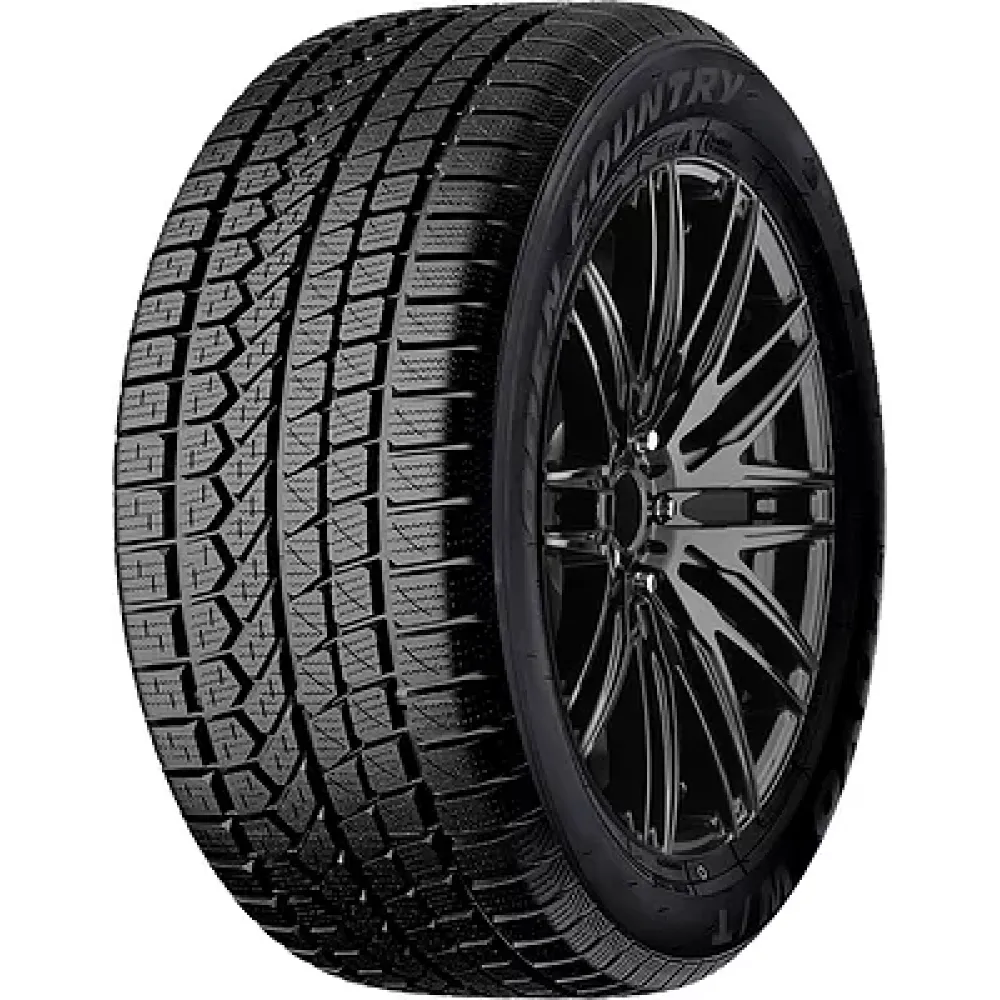 Toyo Open Country W/T 265/60 R18 110H