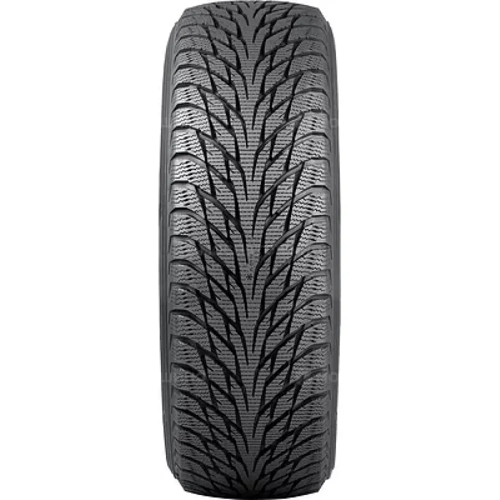 Nokian Hakkapeliitta R2 255/45 R19 104R XL